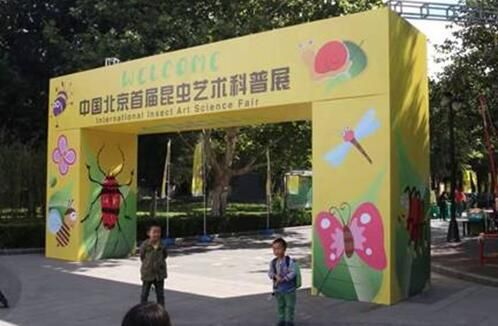 中国北京首届昆虫艺术科普展圆满落幕(图1)