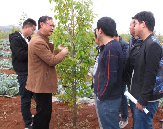 刘春明(左二)作田间放蜂技术指导