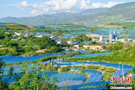 图为保山柯街镇华侨社区。徐钰峰 摄 图为保山柯街镇华侨社区。徐钰峰 摄