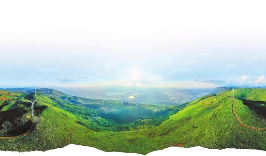 蒙自市国家储备林 供图 蒙自市国家储备林 供图