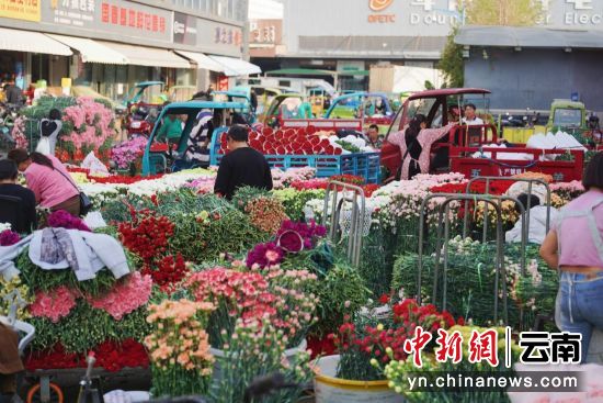 斗南花市康乃馨交易区满目鲜花。本文图片均由 胡弘彪 摄