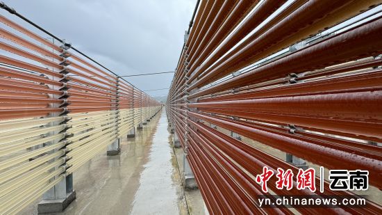 蝦青素培育現(xiàn)場(chǎng) 洪文 攝 蝦青素培育現(xiàn)場(chǎng) 洪文 攝