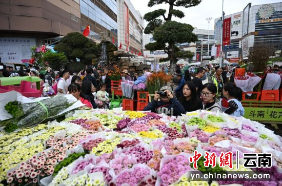 10月4日，众多游客慕名到云南昆明斗南花市感受“亚洲花都”的魅力。 中新社记者 刘冉阳 摄
